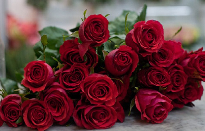 8 Mart - Xanımların bayramıdır